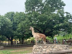 -西安秦岭野生动物园