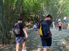 -紫云谷景区