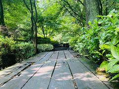 -杭州半山国家森林公园