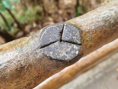 -马峦山郊野公园