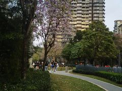 -景田北六街公园宠物主题园