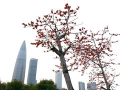 -深圳湾公园(南山区)