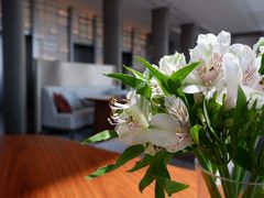 -北京柏悦酒店·锦庭餐厅Dining Room