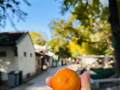 -狼山风景名胜区