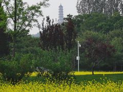 -北坞公园