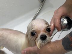 -FAELING PETS美天灵宠物(富力广场店)