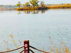 -野鸭湖国家湿地公园