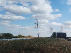 -盐城丹顶鹤湿地生态旅游区