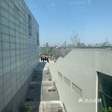 可以好好看看建筑看看展，赏赏花望望江