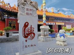-大召无量寺