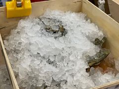 -HIHE Bistro·Oyster Bar(华熙live店)