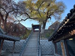 -北山公园