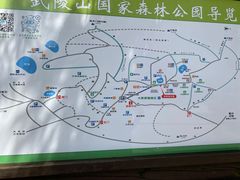 -武陵山森林公园