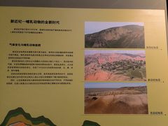 -天津自然博物馆