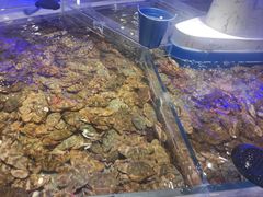 -澜悦港海鲜体验主题餐厅