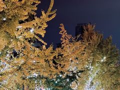 -春熙路步行街