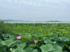-东山风景区(洞庭东山)
