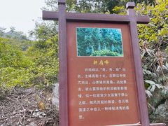-庐山碧龙潭风景区