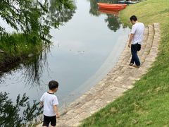 -白鹭湾湿地公园