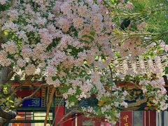 -碑林公园