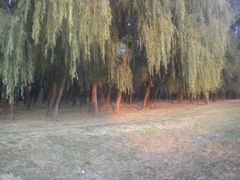 -紫海香堤香草艺术庄园