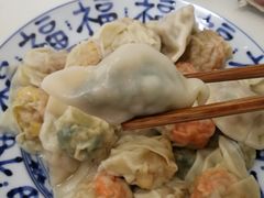 韭菜鲜肉饺-袁记云饺(西安路店)