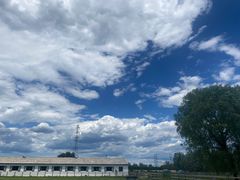 -北京群众马术培训基地