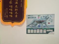 -美联众合24小时·皮肤科·外科·全科诊疗中心(华苑分院)