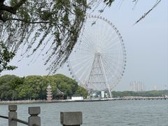-无锡蠡湖国家湿地公园-蠡园