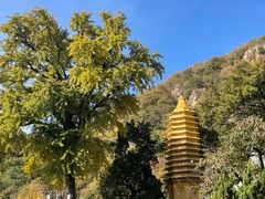 -天津盘山风景名胜区