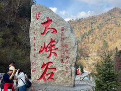 -凤凰山国家森林公园