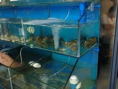 -Sasa的海(蜈支洲岛后海店)