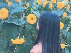 -北陵公园