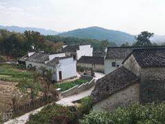 -塔川景区