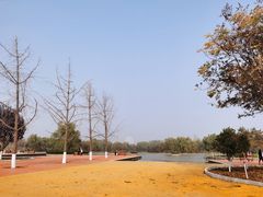 -西安浐灞国家湿地公园