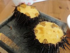 -海胆小馆(东北水饺·春柳店)