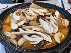 -蘑统田下·野生菌火锅