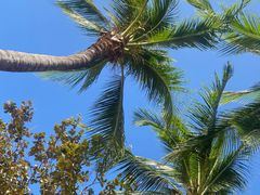 -三亚海棠湾万丽度假酒店