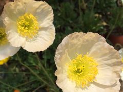 -云南民族大观园