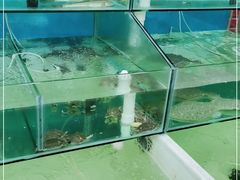 -海之味海鲜大咖·家常菜