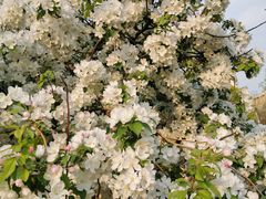 -秦汉胡同国学书院(天鹅湾分馆)