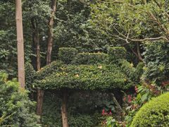 -云溪植物园
