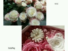 android_upload_pic-ROSEONLY诺誓(青岛万象城店)