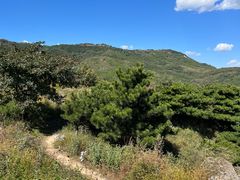 -北京鹫峰国家森林公园