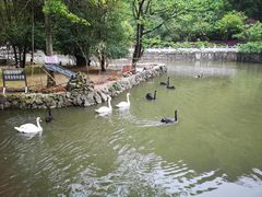 -黔灵山公园