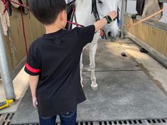 -名驭国际马术学院