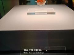 -北京大葆台遗址博物馆