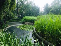 -成都市活水公园