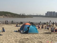 -九龙湖公园