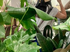 -植物学家的女儿(北马道巷店)